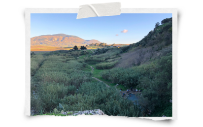 Freie Natur-Therme Castellammare del Golfo